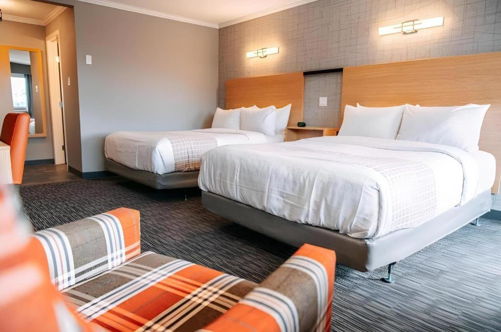ג'ספר Mount Robson Inn מראה חיצוני תמונה